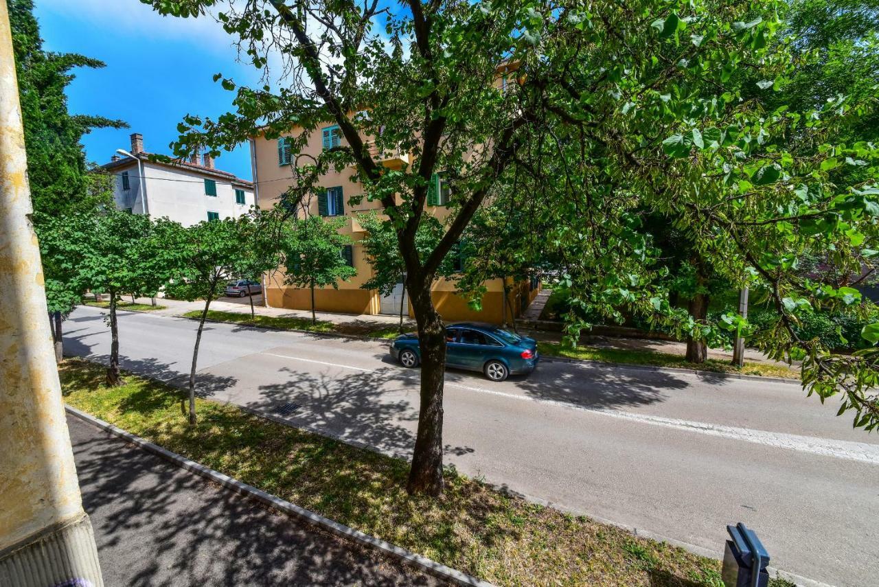 Viola Apartament