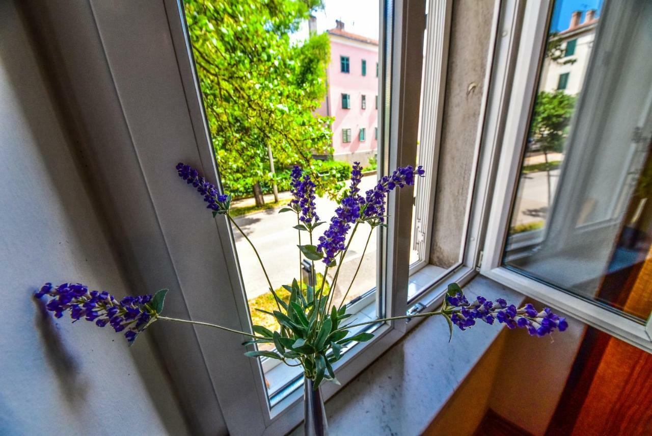 Viola Apartament *